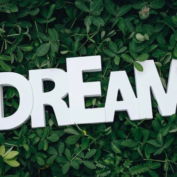 Dream