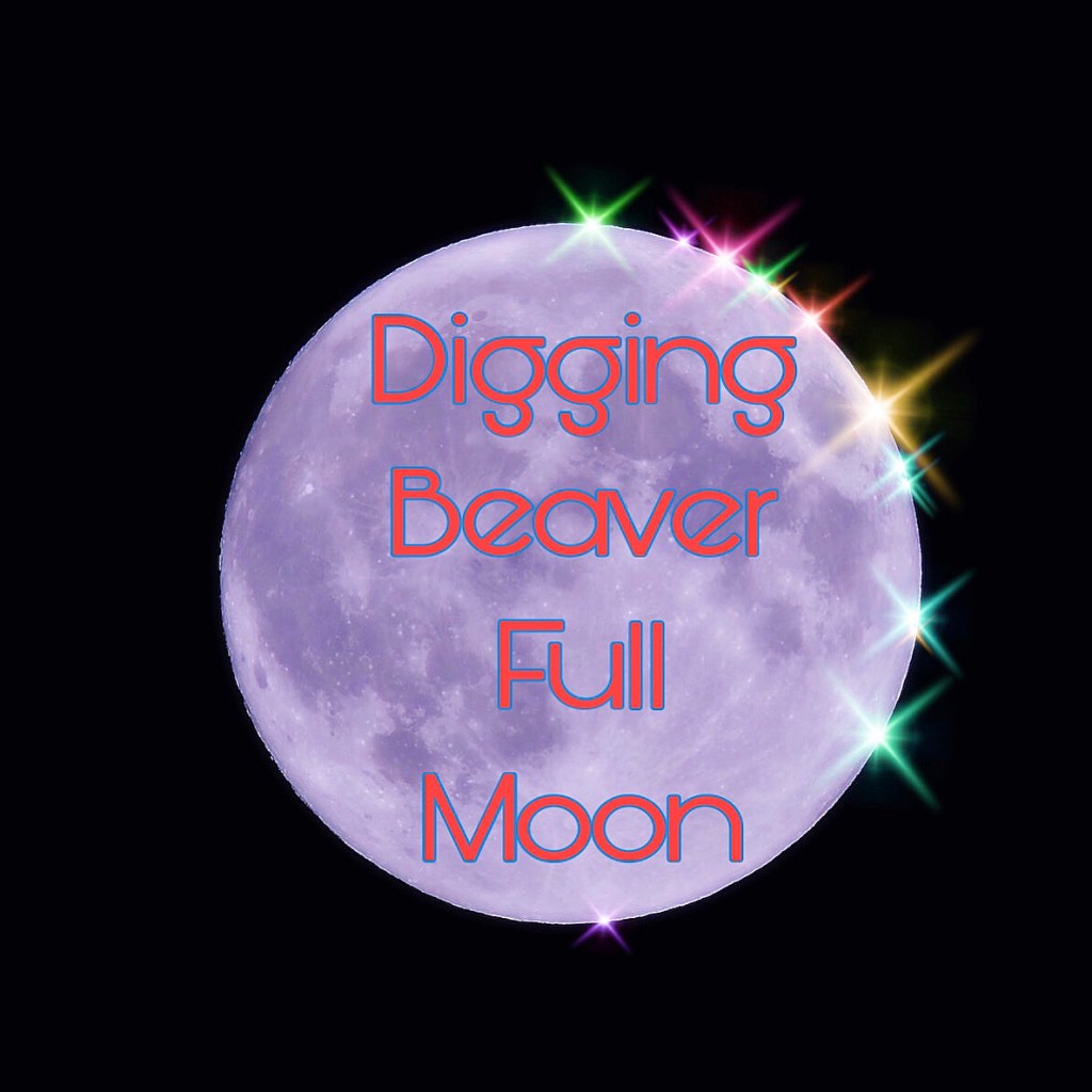 Full moon with rainbow sparkles on it's side and text in center that reads "Digging Beaver Full Moon"